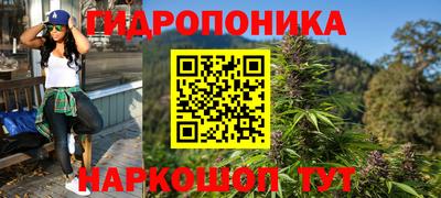 гашик Гусев
