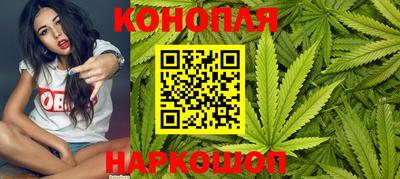 гашик Гусев