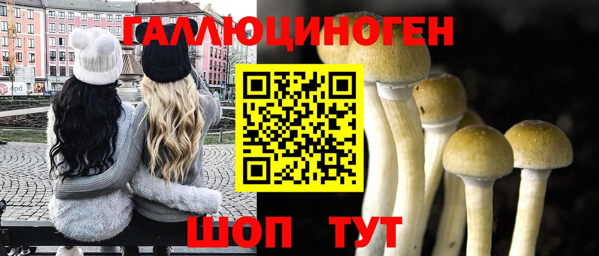 Галлюциногенные грибы Psilocybine cubensis  Вход с VPN  Кизляр 
