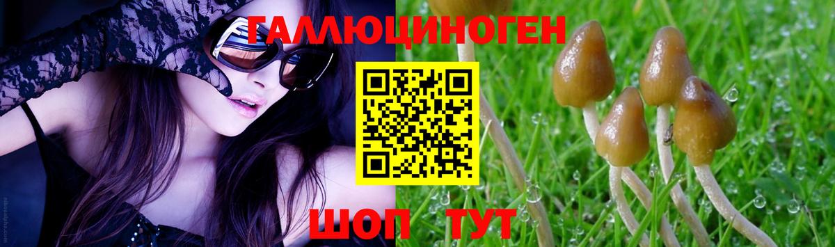 Псилоцибиновые грибы мухоморы Кизляр